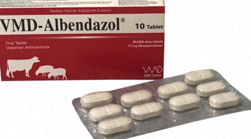 Albendazol Rezeptfrei günstig online